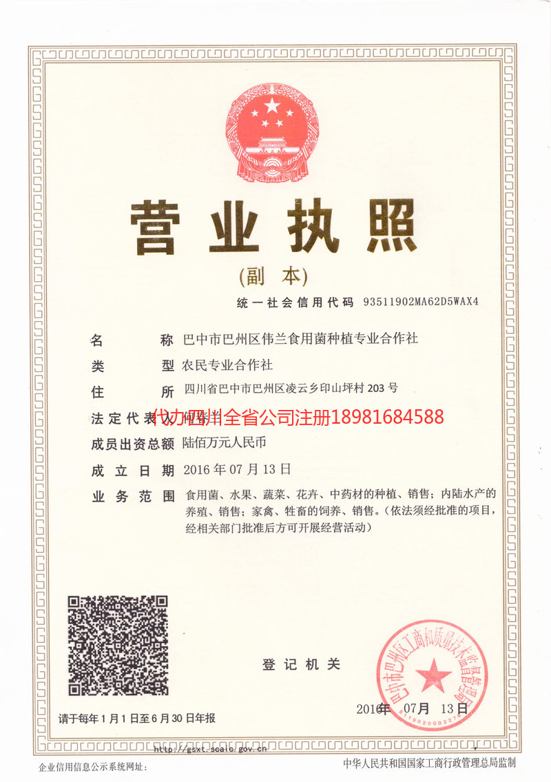 兴化兴化伟兰食用菌种植专业合作社